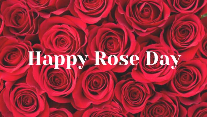 Happy Rose Day 2024