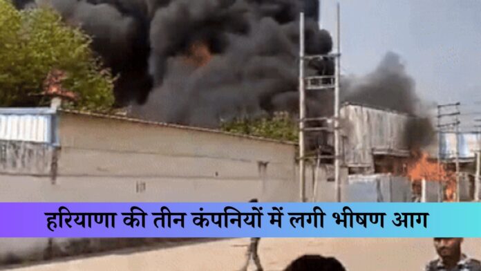 Faridabad Fire News